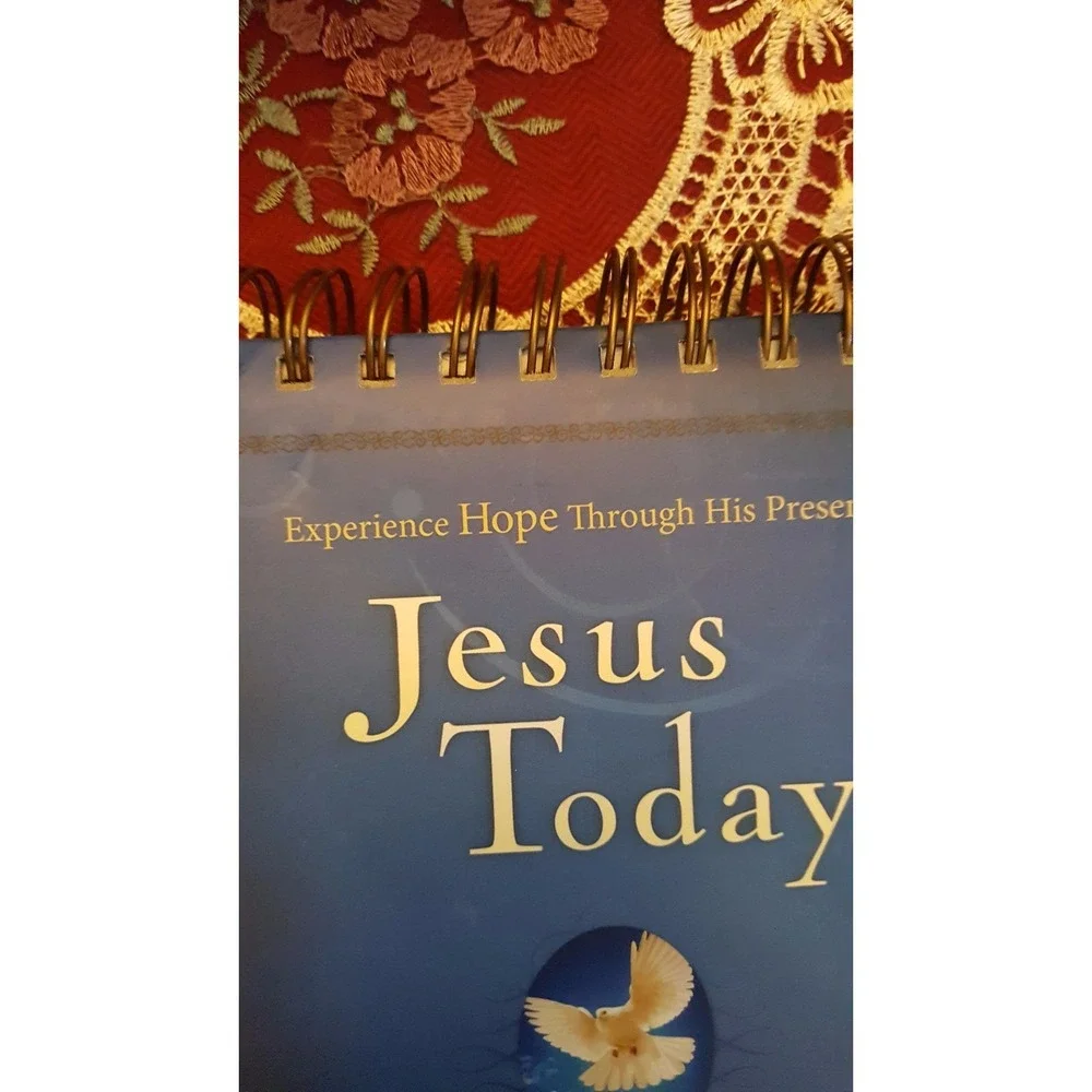 Jesus Today by Sarah Young Experience Hope Through His Presence Spiral Flip Stan